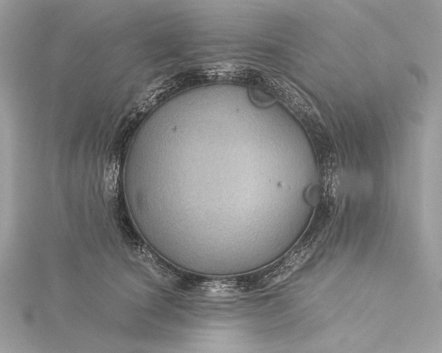 X0000116000660200912031510