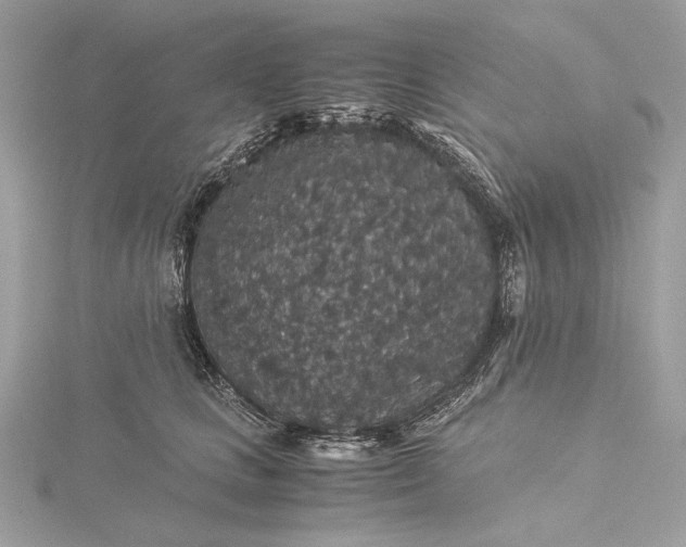 X0000116000661200912031510