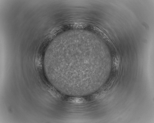 X0000116000663200912031510