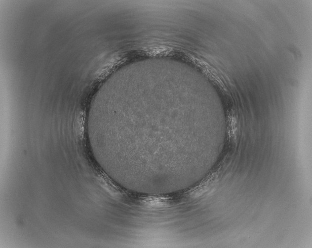 X0000116000664200912031510