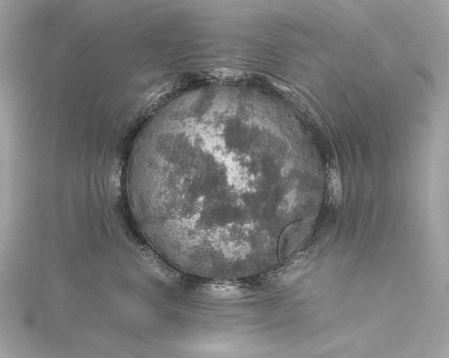 X0000116000668200912031510