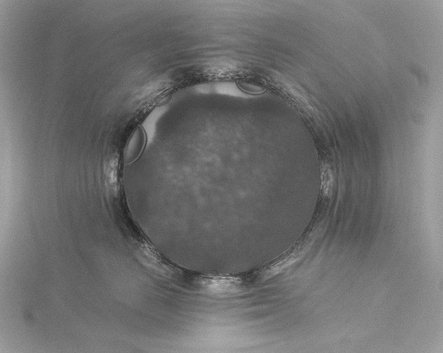 X0000116000670200912031510