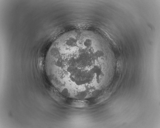 X0000116000671200912031510