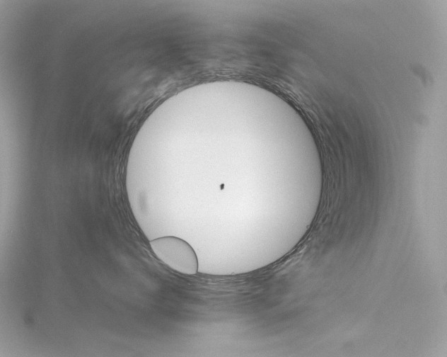 X0000116000672200912031510