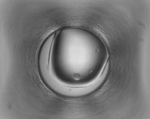 X0000116000673200912031510