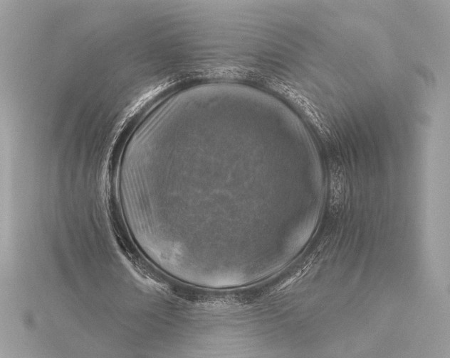 X0000116000674200912031510