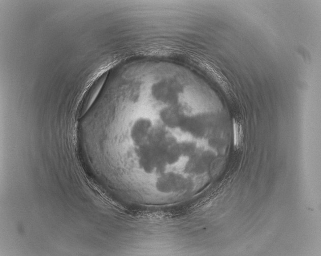 X0000116000675200912031510