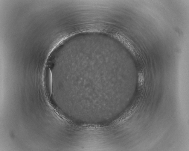 X0000116000676200912031510