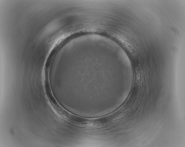 X0000116000678200912031509