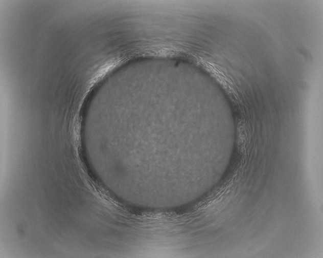 X0000116000679200912031509