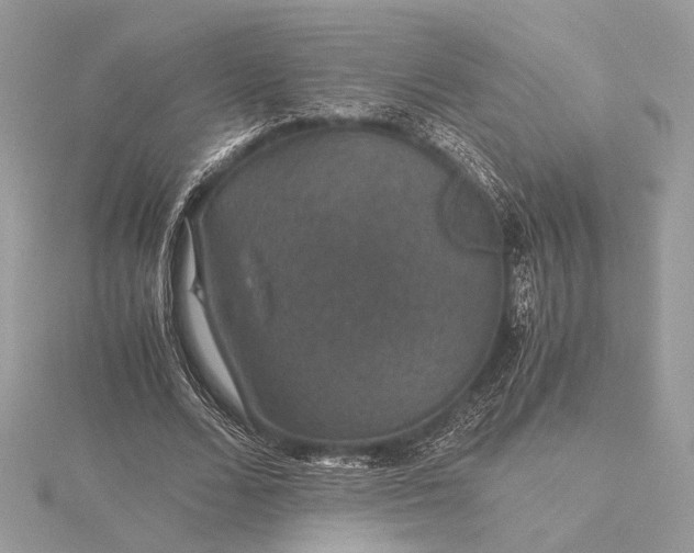 X0000116000680200912031509