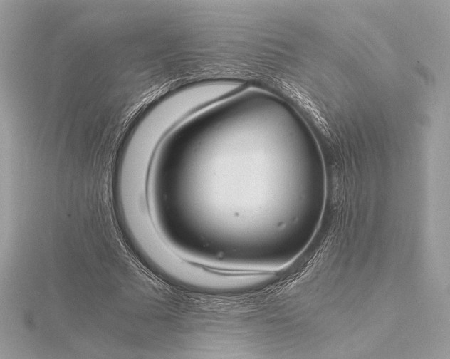 X0000116000681200912031509