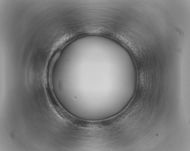 X0000116000682200912031509