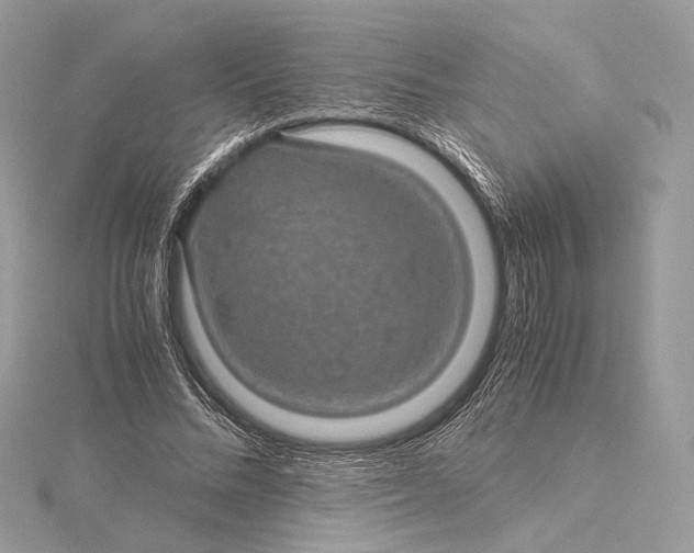 X0000116000684200912031509