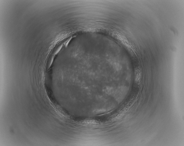 X0000116000685200912031509