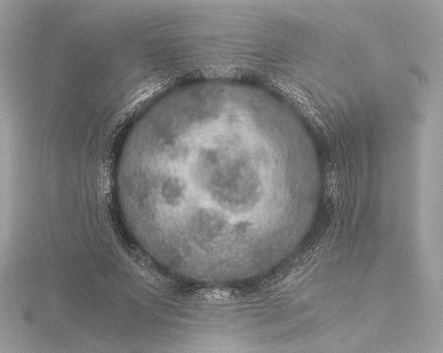 X0000116000687200912031509