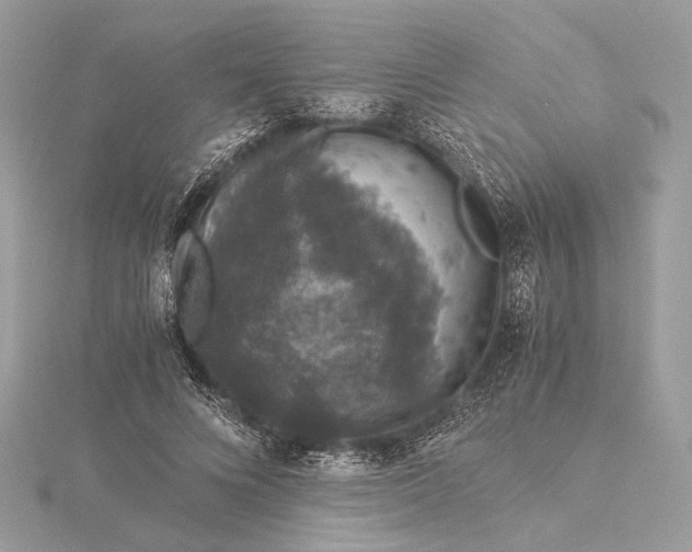 X0000116000688200912031509