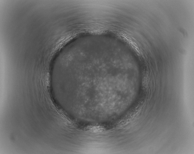 X0000116000689200912031509