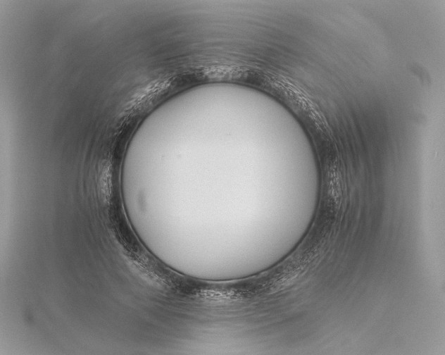 X0000116000690200912031509