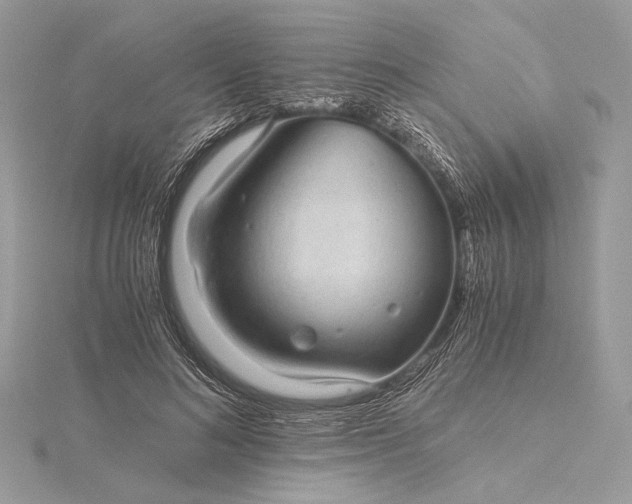 X0000116000692200912031509