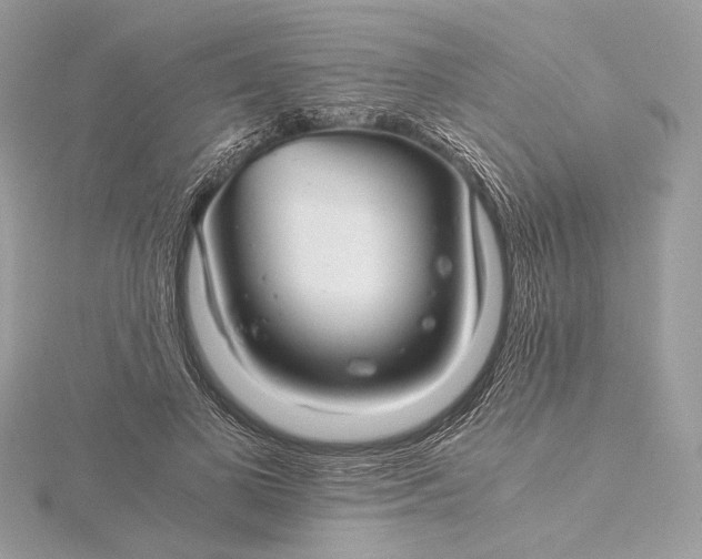 X0000116000693200912031509