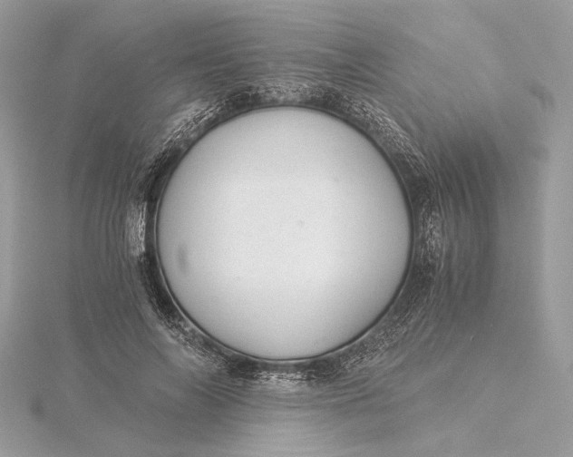 X0000116000694200912031509