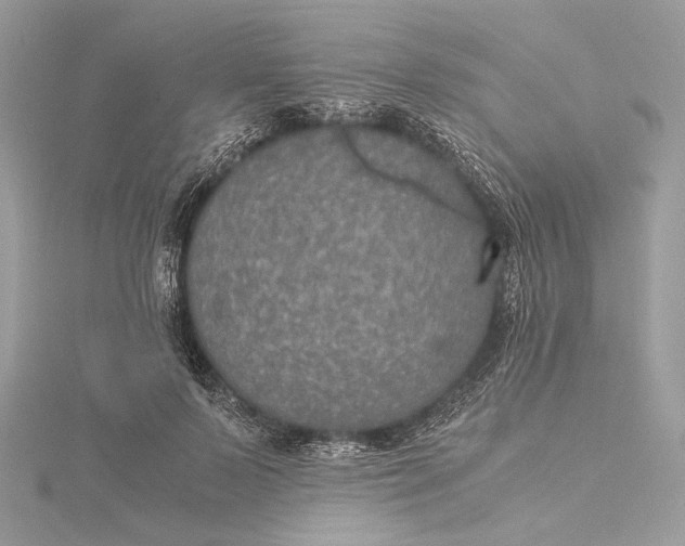 X0000116000695200912031509