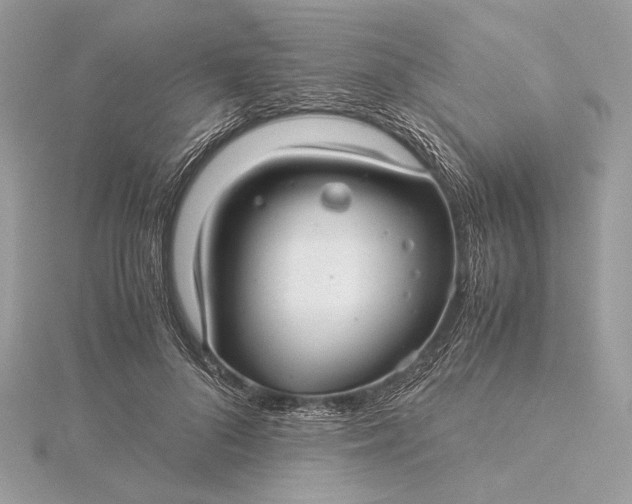 X0000116000696200912031509