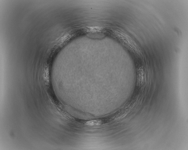 X0000116000700200912031509