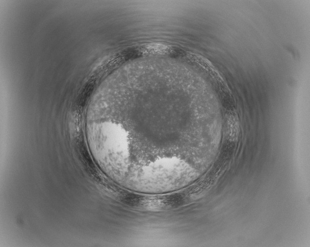 X0000116000701200912031509