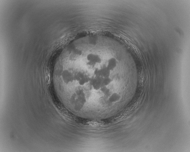 X0000116000703200912031509