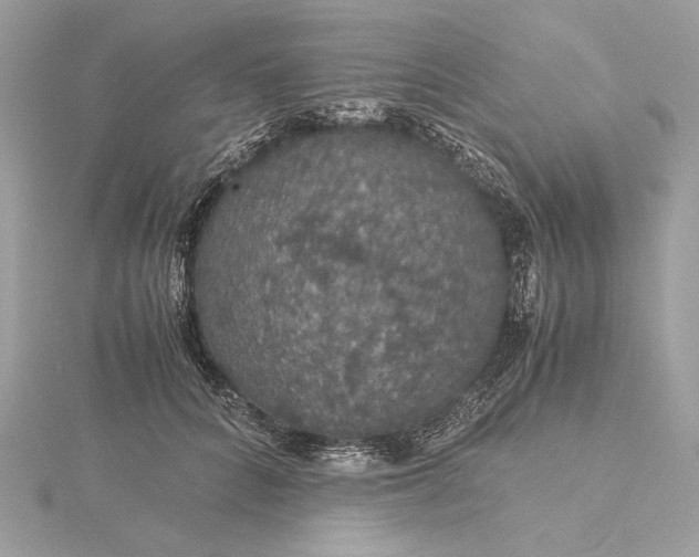 X0000116000704200912031509