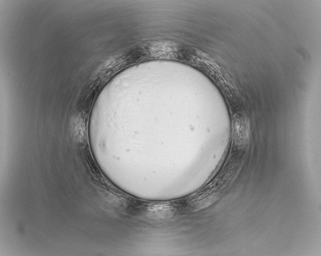 X0000116000705200912031509