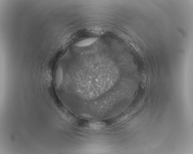 X0000116000707200912031509