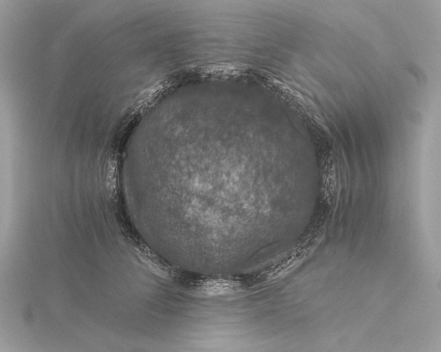 X0000116000708200912031509