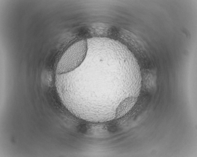 X0000116000709200912031509