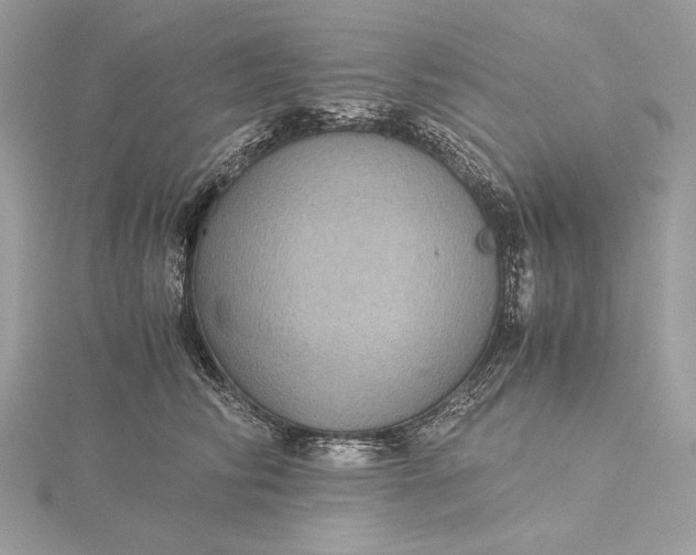 X0000116000710200912031509