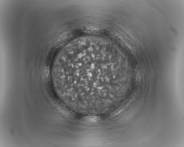 X0000116000711200912031509