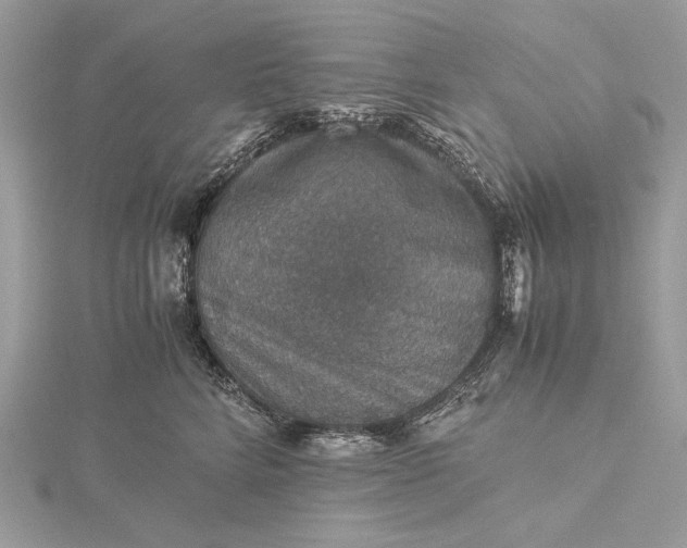 X0000116000712200912031509