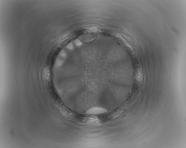 X0000116000715200912031509