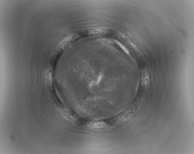 X0000116000716200912031509