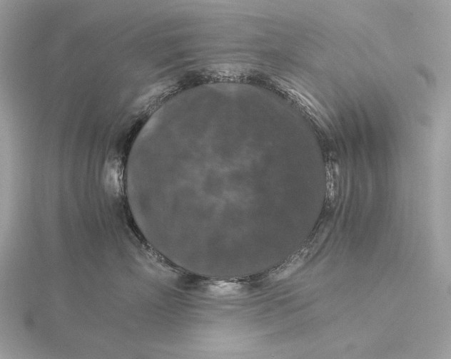 X0000116000718200912031509