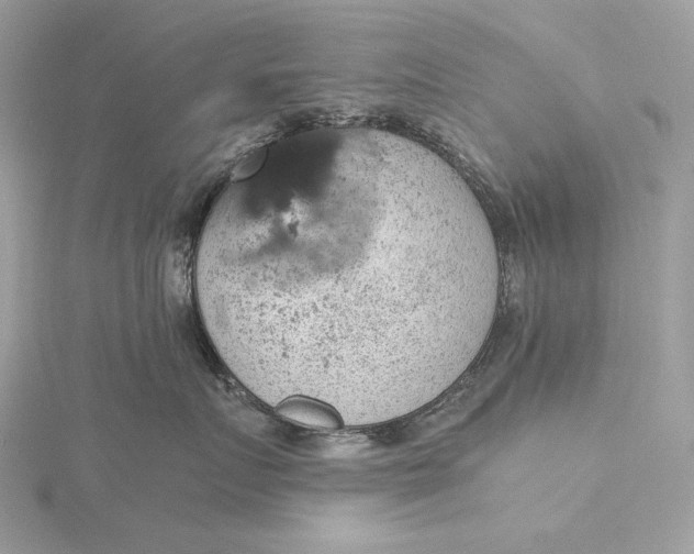 X0000116000719200912031509