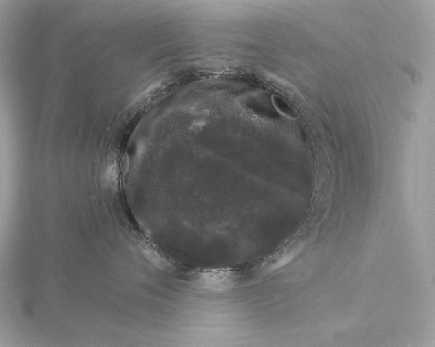 X0000116000720200912031509