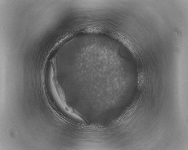 X0000116000722200912031508