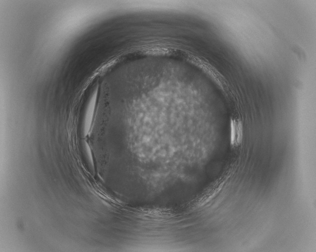 X0000116000723200912031508