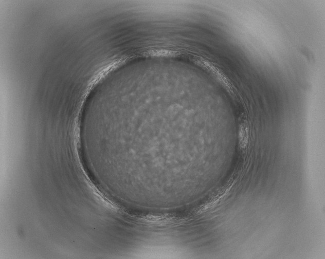 X0000116000725200912031508