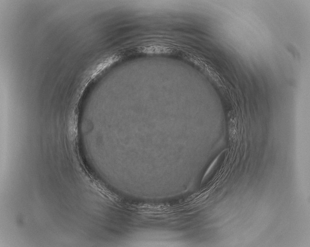 X0000116000727200912031508