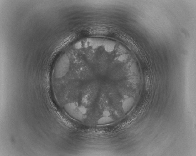 X0000116000729200912031508