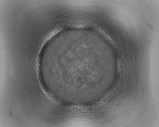 X0000116000730200912031508